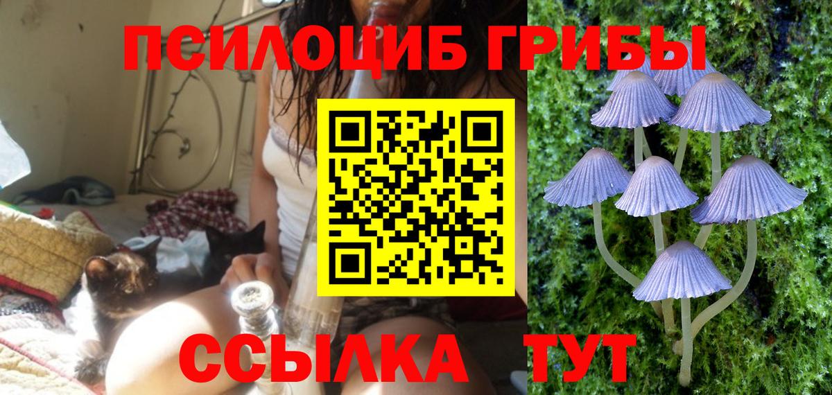 Людиново  Галлюциногенные грибы мухоморы  Вход с VPN  Псилоцибиновые грибы Psilocybe 