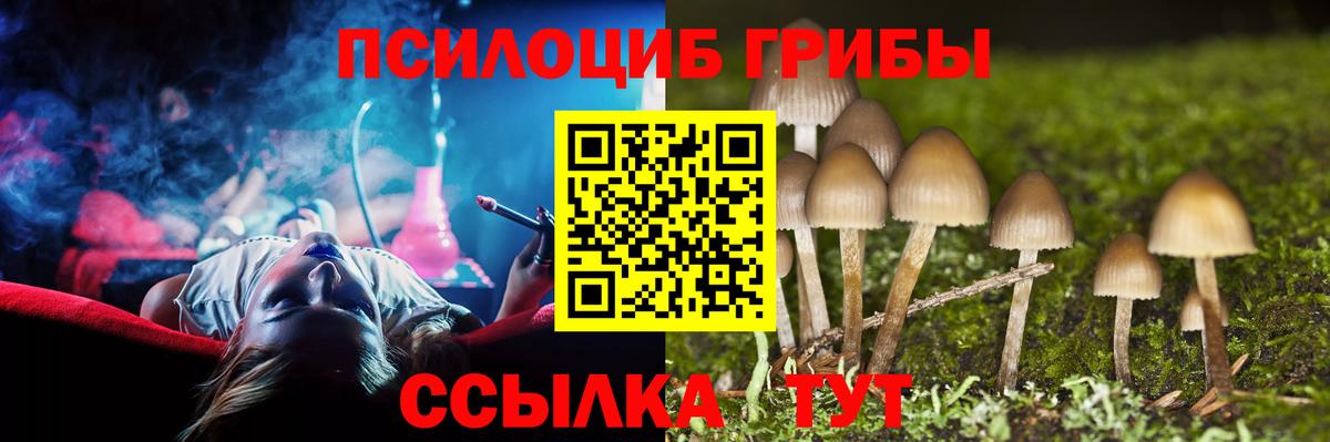 Галлюциногенные грибы Psilocybine cubensis Людиново